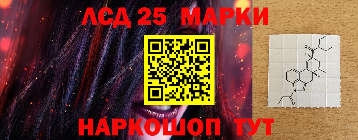 Шебекино  Лсд 25 экстази  Лсд 25 экстази ecstasy  Вход с VPN  Лсд 25 экстази ecstasy 