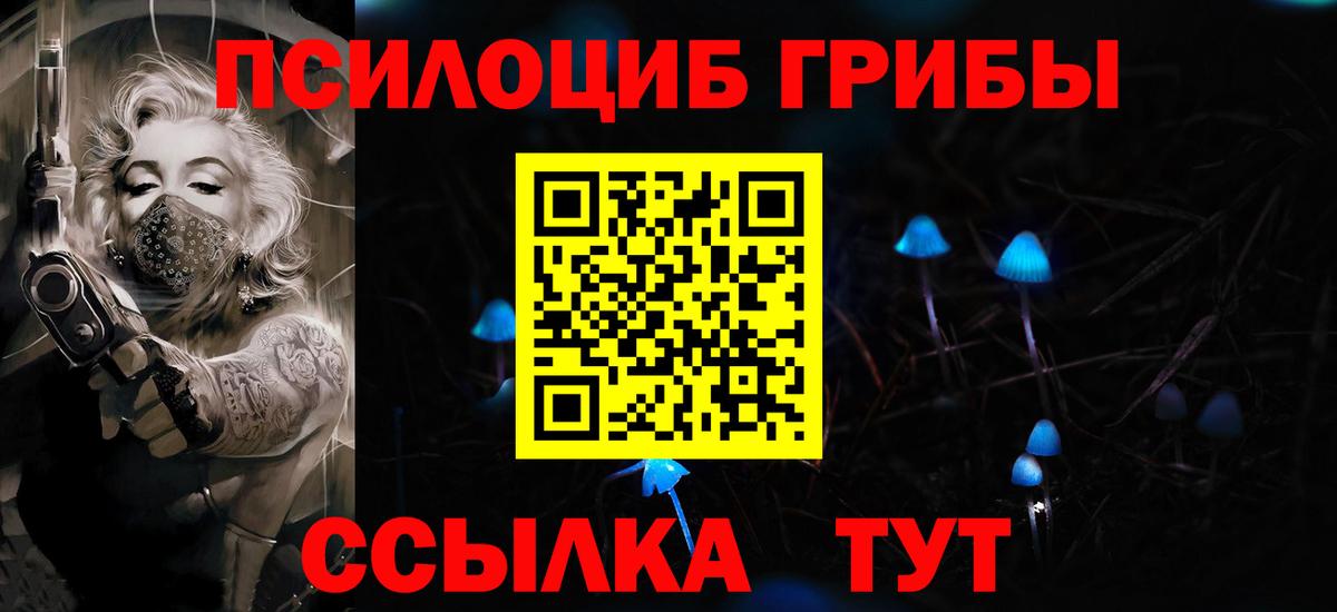 хочу наркоту  Псилоцибиновые грибы Psilocybe  Вход с VPN  Шебекино  Псилоцибиновые грибы Psilocybe 